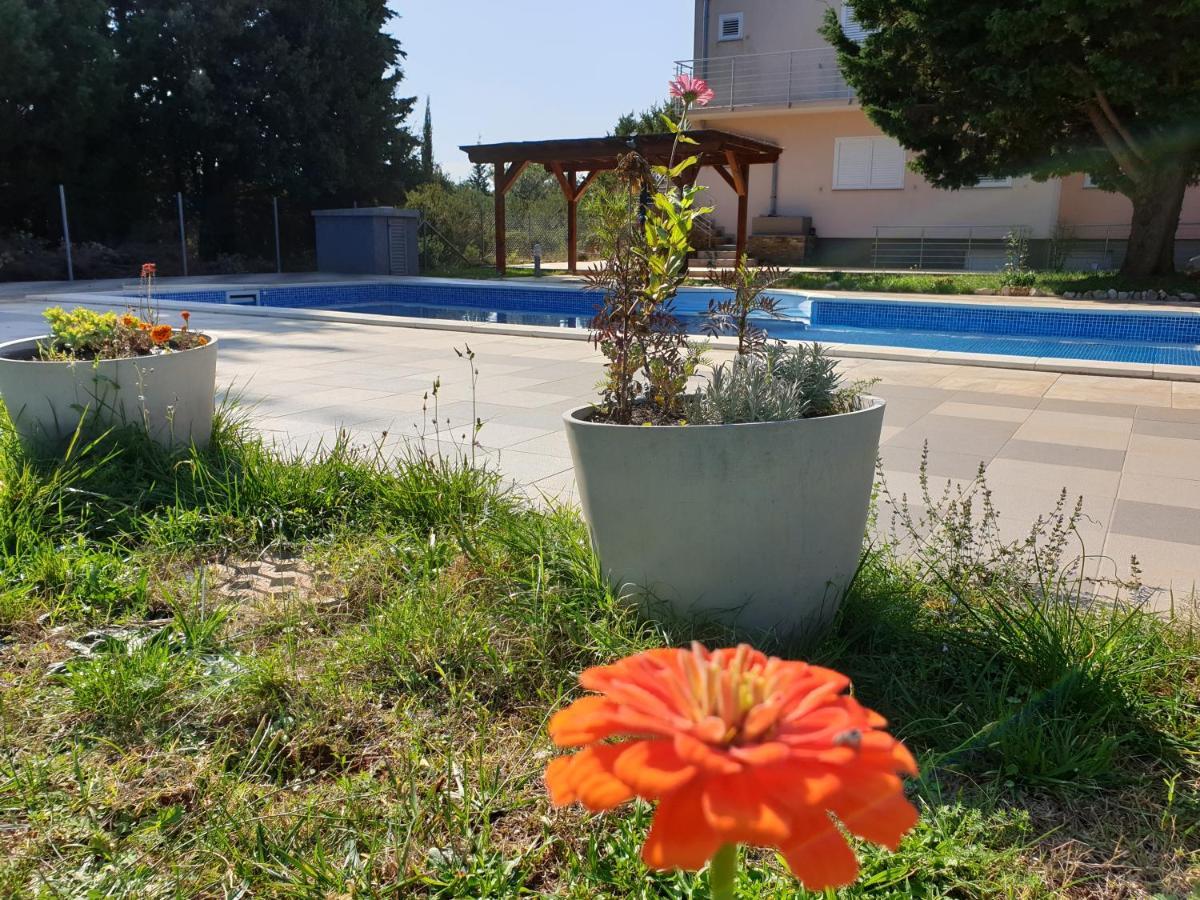 Olive Apartments Ugljan Exterior photo