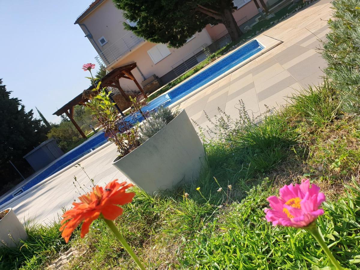 Olive Apartments Ugljan Exterior photo