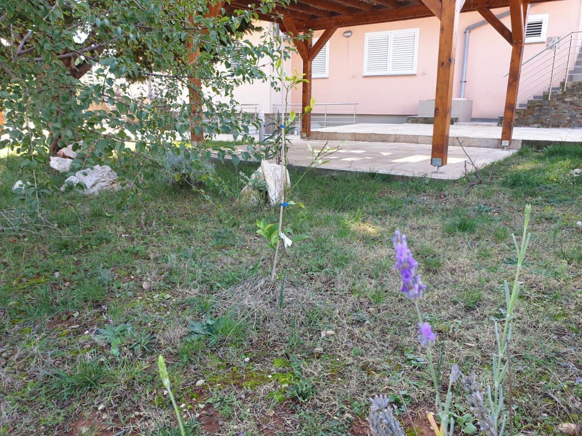 Olive Apartments Ugljan Exterior photo