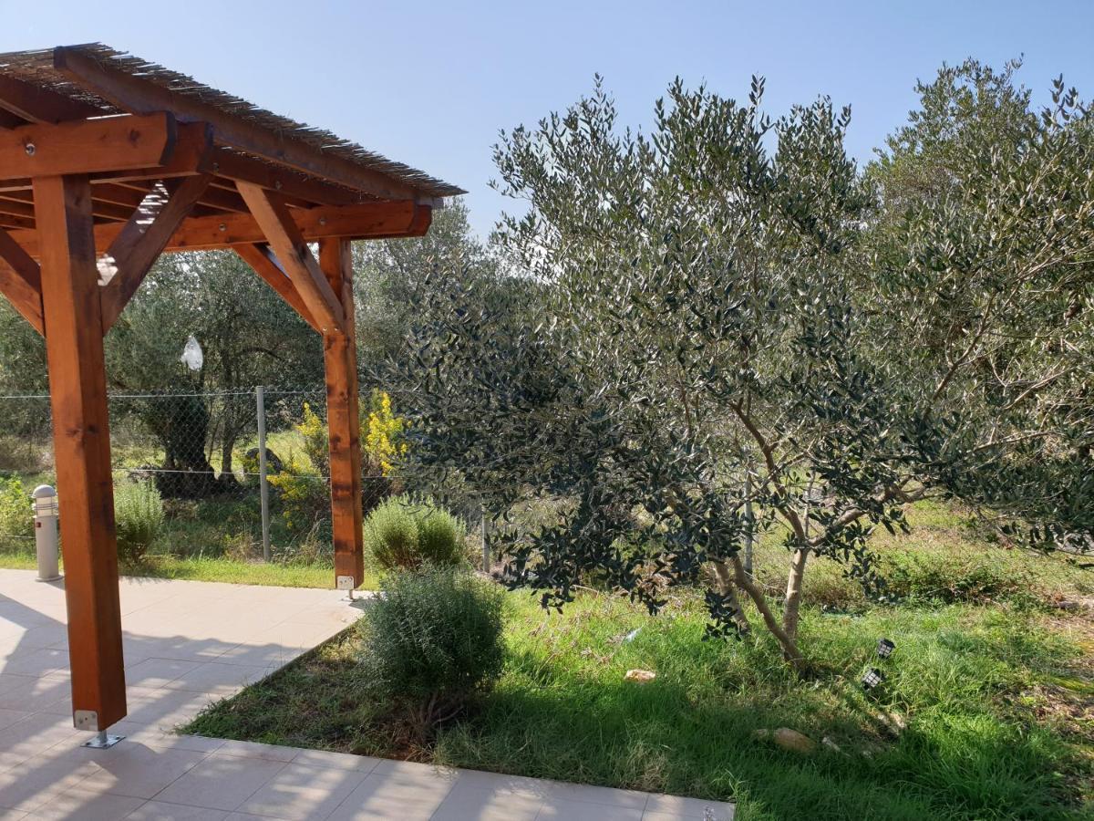 Olive Apartments Ugljan Exterior photo